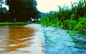 Read more about the article What Is Stormwater And The Effect Of Stormwater