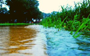 Stormwater Georgia